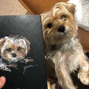 Meet your Posher, Phillip